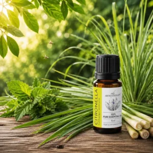 Citronella na komary – olejek eteryczny citronella i naturalne odstraszanie owadów