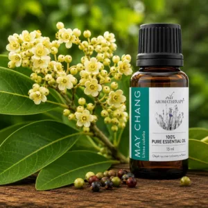 Litsea cubeba (May Chang) – właściwości i aromaterapia