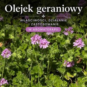 Olejek geraniowy właściwości i zastosowanie – naturalny olejek eteryczny geranium