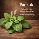 Paczula (Pogostemon cablin) – właściwości i zastosowanie w aromaterapii, świeże liście rośliny