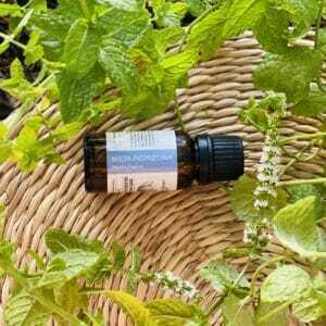 Olejek z mięty pieprzowej Mentha piperita – naturalny olejek eteryczny