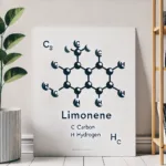 Co zawierają olejki eteryczne ?