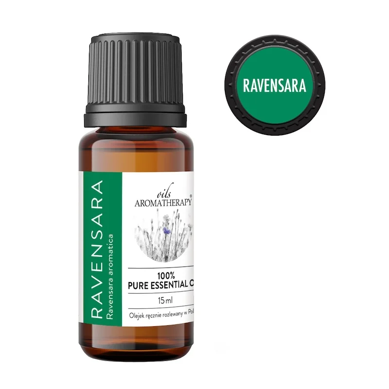 ravensara-olejek-15ml olejek ravensara – Ravensara aromatica