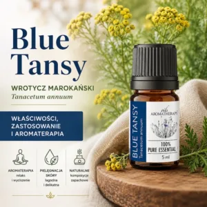 Blue Tansy właściwości zastosowanie i aromaterapia olejek Tanacetum annuum