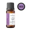 Focus – naturalna mieszanka olejków eterycznych AromatherapyOils, 15 ml