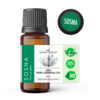 Naturalny olejek eteryczny z sosny zwyczajnej (Pinus sylvestris) – wspomagający układ oddechowy, oczyszczający powietrze i poprawiający koncentrację – AromatherapyOils