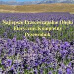 Najlepsze Przeciwzapalne Olejki Eteryczne: Kompletny Przewodnik