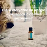 Olejki eteryczne na alergie – rośliny aromatyczne: lawenda, rumianek i mięta