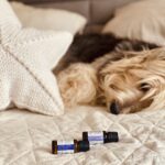 Naturalne olejki eteryczne na spokojny sen – lawenda, rumianek, bergamotka w aromaterapii na bezsenność