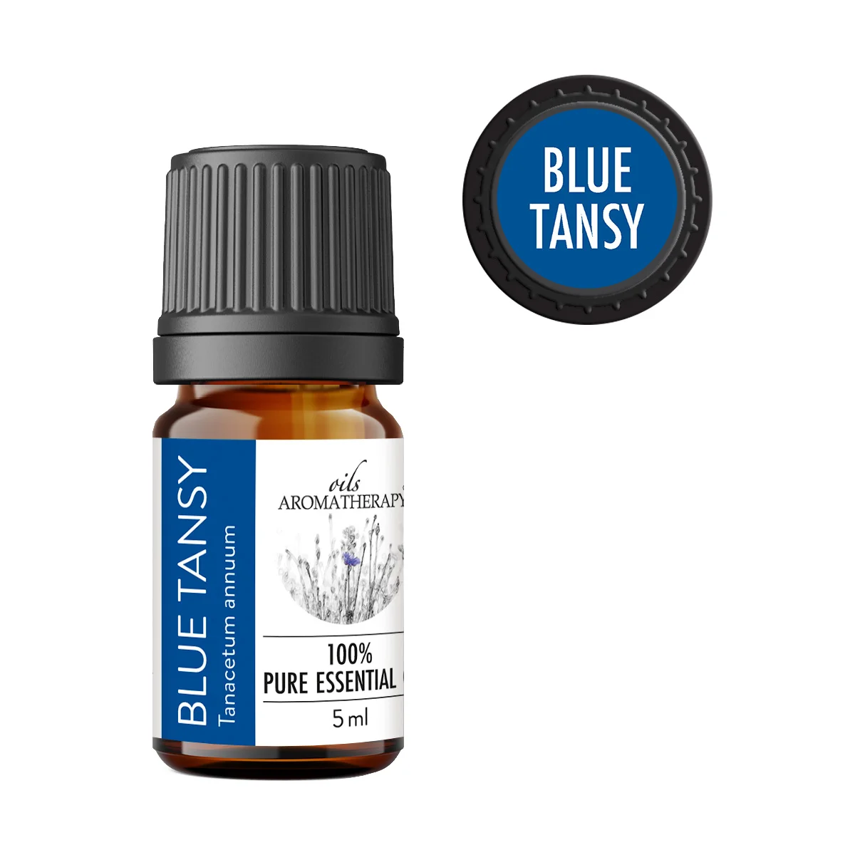 blue-tansy-olejek-05ml Olejek eteryczny Blue Tansy Tanacetum annuum – naturalny olejek eteryczny