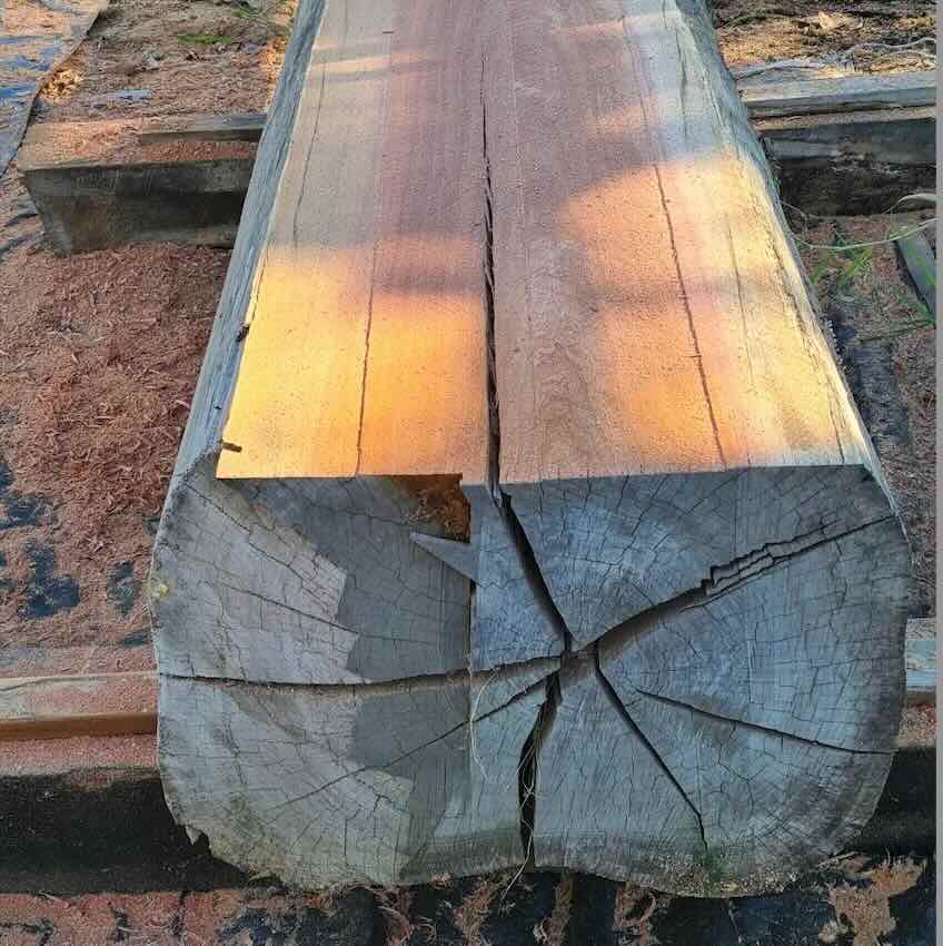 australian-rosewood-drewno australijskie drzewo rozane