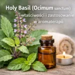 Olejek eteryczny Holy Basil (Ocimum sanctum) – właściwości i działanie