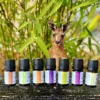 Zestaw australijskich olejków eterycznych AromatherapyOils 7x5 ml – unikalne aromaty Australii