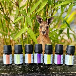 Zestaw australijskich olejków eterycznych AromatherapyOils 7x5 ml – unikalne aromaty Australii