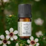 olejek manuka właściwości