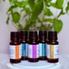 Zestaw pięciu 100% naturalnych olejków eterycznych AromatherapyOils – Lawenda, Eukaliptus Radiata, Rozmaryn, Słodka Pomarańcza i Cedr Atlaski