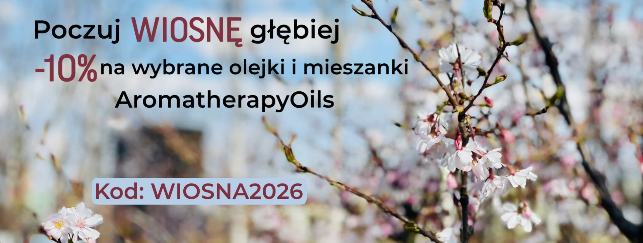 WIOSNA PROMOCJA