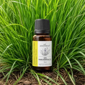 Trawa cytrynowa właściwości zastosowanie bezpieczeństwo olejek lemongrass aromaterapia