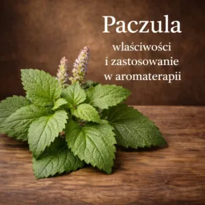 paczula Pogostemon cablin właściwości zapach i zastosowanie