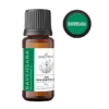 olejek ravensara (Ravensara aromatica) 15 ml – olejek eteryczny AromatherapyOils