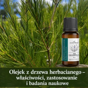 Olejek z drzewa herbacianego właściwości, zastosowanie i badania naukowe