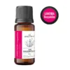 Olejek lawendowy hiszpański - Lavandula stoechas AromatherapyOils