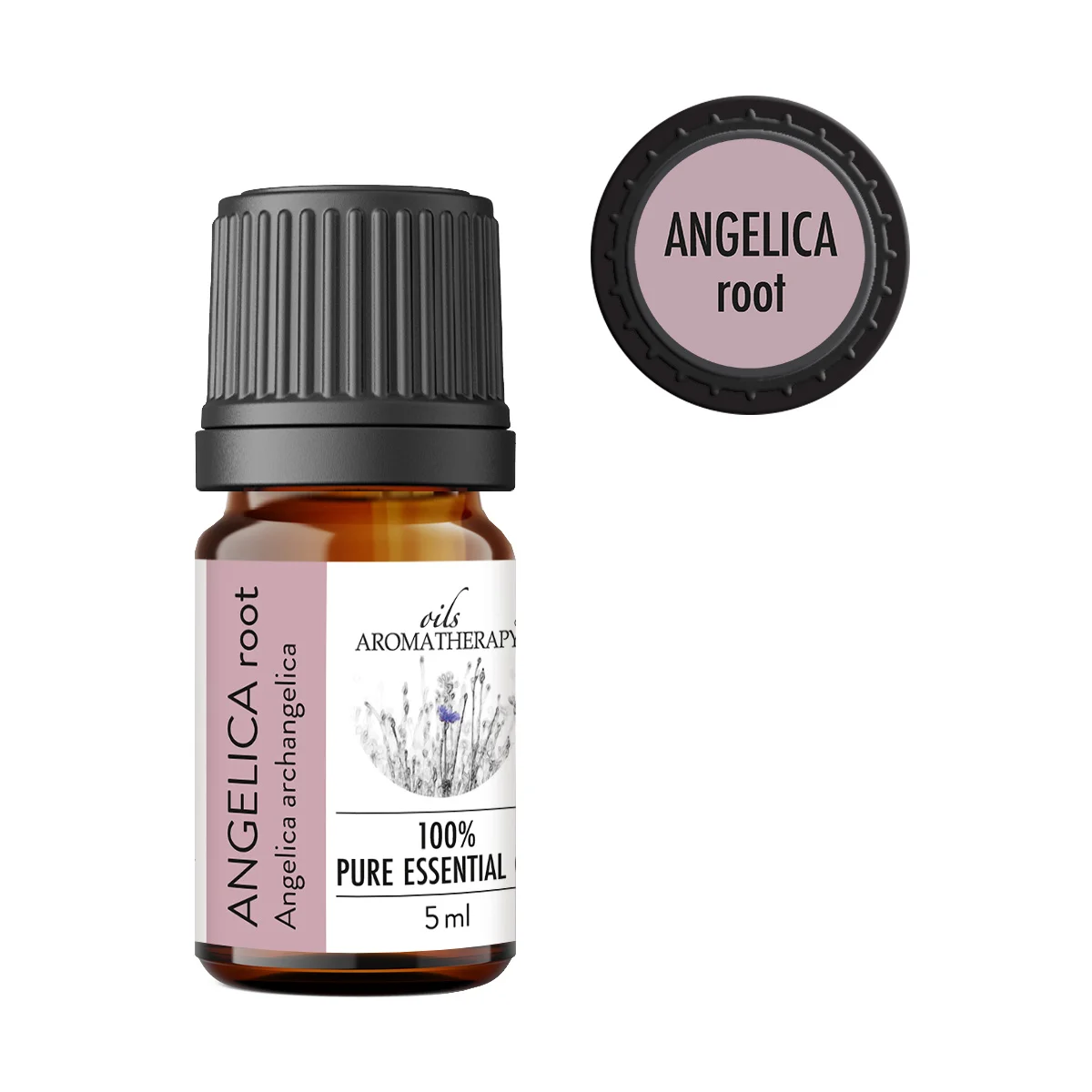 angelica-root-olejek-05ml olejek Angelica Root Angelica archangelica naturalny olejek eteryczny AromatherapyOils