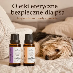 Olejki eteryczne bezpieczne dla psa – bezpieczeństwo i zasady stosowania.