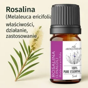 Olejek Rosalina właściwości - gałązki Melaleuca ericifolia.