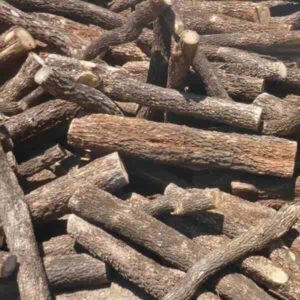buddha-wood-logs