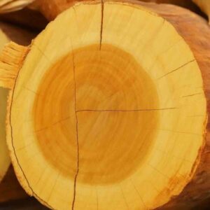 santalum album wood