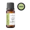 Olejek tymiankowy Thymus vulgaris ct thymol – intensywny olejek eteryczny